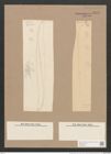 Pleurosigma speciorum W.Sm. (de-Toni-Nr.: Genus 13, Species 1007) Zeichnungen Sammlung Grunow Nr. 2051 (NHMW-BOT-W0368908)